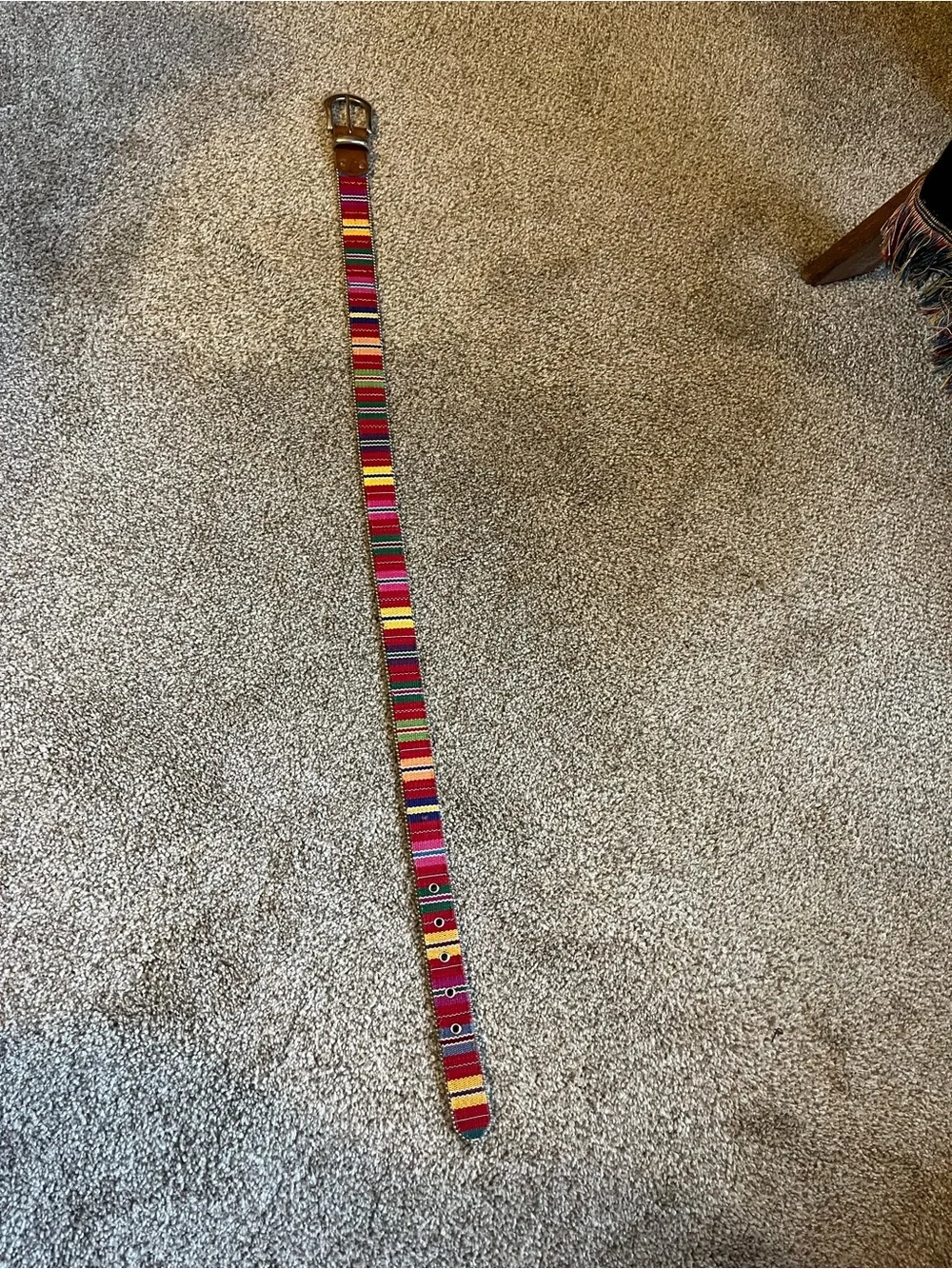 Elite Multicolor Belt with silver buckle